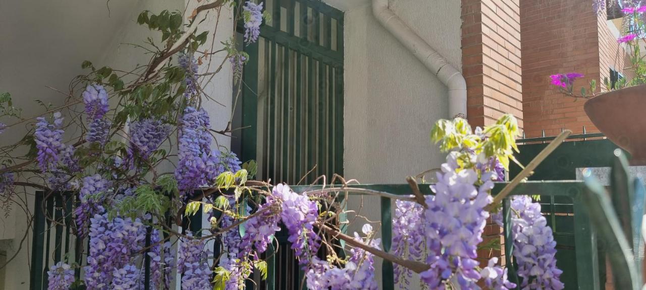 Casadei24 Homestay